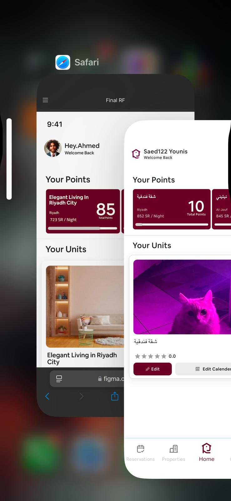 App Screenshot 1